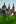 Fulda 1